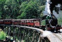 Puffing Billy with Blue Dandenongs